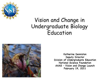 Katherine Denniston Deputy Director Division of Undergraduate Education National Science Foundation AAAS – Vision and Change Launch February 19, 2011 Vision.