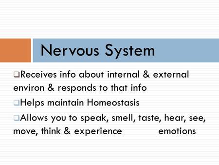 Nervous System Receives info about internal & external environ & responds to that info Helps maintain Homeostasis Allows you to speak, smell, taste, hear,