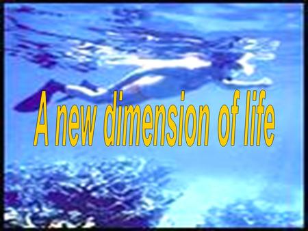 Glance quickly through the diary entry and number topics in the correct order. Topic Colors and shapes Dangers Reflecting The reef ’ s edge A.