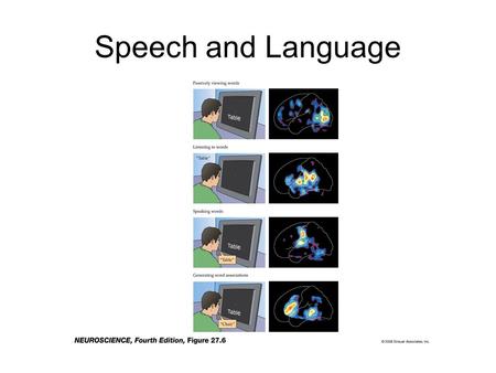 Speech and Language. Three Components of Speech and Language 1. Morphology: rules for combining words to form bigger words –e.g.: handi+cap vs. handi+cap+able.