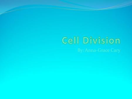 By: Anna-Grace Cary. Interphase www.emt.bu.edu www.microscopy- uk.org.uk Spends 90% of its life in this stage it’s the prep-stage DNA replicates or makes.