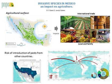 INVASIVE SPECIES IN MEXICO an impact on agriculture. M.C. Beatriz E. Arreola Martínez Agricultural surface impacts International trade Local and family.