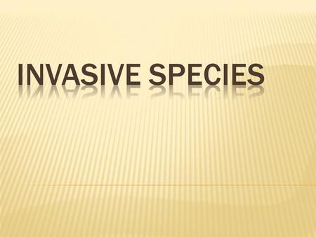 Plants, animals, and microbes not native to a region which, when introduced either accidentally or intentionally, out-compete native species for available.