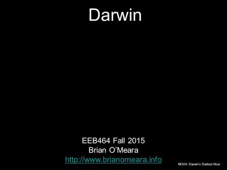 1 EEB464 Fall 2015 Brian O’Meara  Darwin NOVA: Darwin’s Darkest Hour.