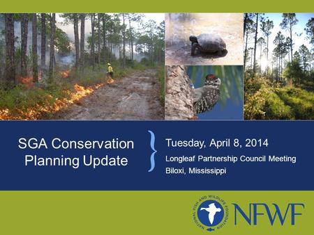 Tuesday, April 8, 2014 Longleaf Partnership Council Meeting Biloxi, Mississippi SGA Conservation Planning Update.