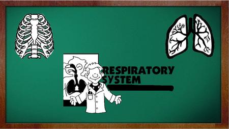 Why do we need air? We need air to breathe. The air we breathe has oxygen. We cannot survive without oxygen. To help us achieve this, we have RESPIRATORY.