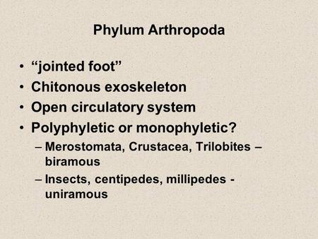 Chitonous exoskeleton Open circulatory system