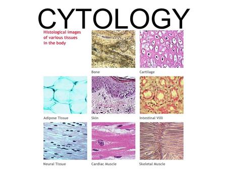 CYTOLOGY. What is the Cell Theory? Made of cells (smallest unit of structure. All of the life functions (smallest unit of function). All cells come from.