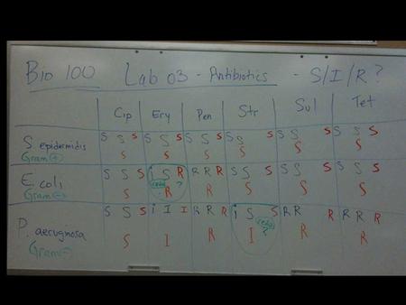 Research! Look up each antibiotic from our lab and describe what it does to bacteria. As a group, draw a picture that you think best represents.