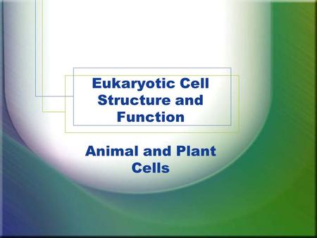 Eukaryotic Cell Structure and Function Animal and Plant Cells