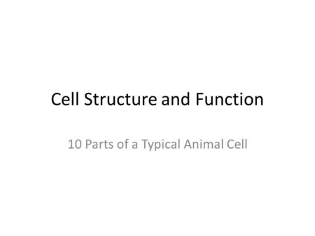 Cell Structure and Function 10 Parts of a Typical Animal Cell.