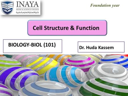 Foundation year BIOLOGY-BIOL (101) Cell Structure & Function Dr. Huda Kassem.