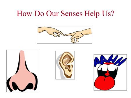 How Do Our Senses Help Us?. Think About It…. How would your life be different if you couldn’t hear what was going on around you? Do you know anyone that.