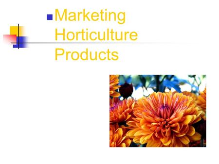 Marketing Horticulture Products. Next Generation Science/Common Core Standards Addressed! HSNQ.A.1 Use units as a way to understand problems and to guide.