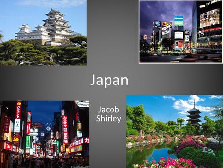 Japan Jacob Shirley. Flag Type of government a parliamentary government with a constitutional monarchy.