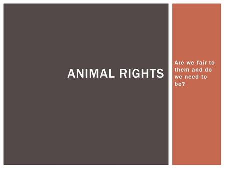 Are we fair to them and do we need to be? ANIMAL RIGHTS.