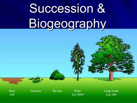 Succession & Biogeography