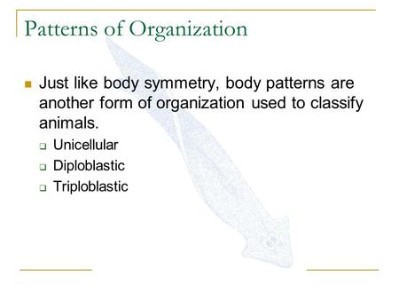 Patterns of Organization