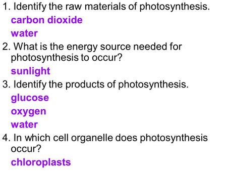 1. Identify the raw materials of photosynthesis.