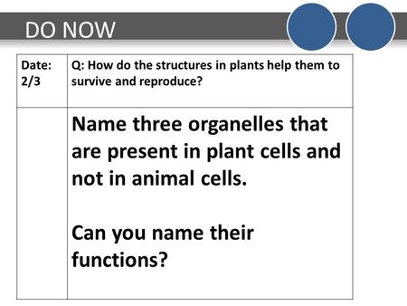 DO NOW Date: 2/3 Q: How do the structures in plants help them to survive and reproduce? Name three organelles that are present in plant cells and not in.