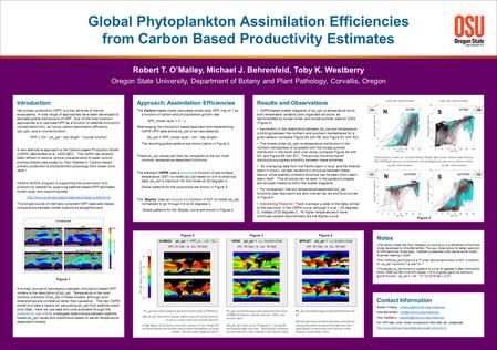 Approach: Assimilation Efficiencies The Carbon based model calculates mixed layer NPP (mg m -3 ) as a function of carbon and phytoplankton growth rate: