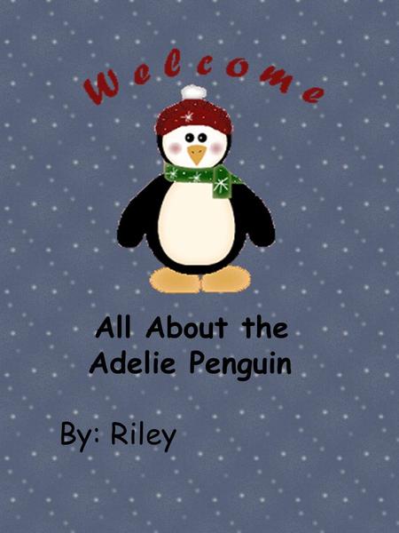 All About the Adelie Penguin By: Riley. can have are Swim Eat Black head and a white ring around their eye Smallest penguin.