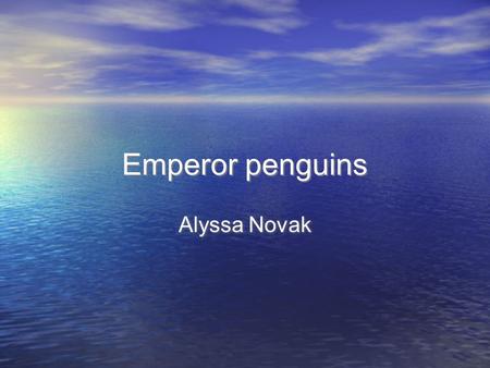 Emperor penguins Alyssa Novak Food Fish Squid Shrimp Crustaceans Hunt in the sea Carnivores (meat eaters) Fish Squid Shrimp Crustaceans Hunt in the sea.