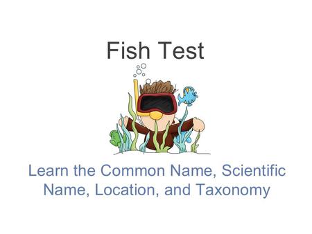 Learn the Common Name, Scientific Name, Location, and Taxonomy