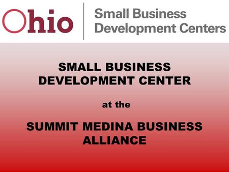 SMALL BUSINESS DEVELOPMENT CENTER at the SUMMIT MEDINA BUSINESS ALLIANCE.