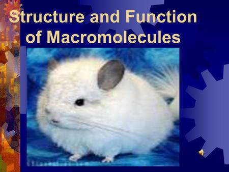 Structure and Function of Macromolecules Four Main Types of Macromolecules  Macromolecules are constructed of smaller units repeating units called monomers.