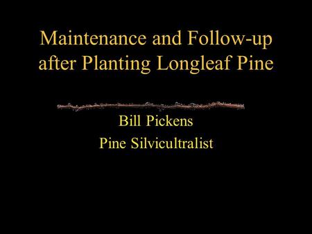 Maintenance and Follow-up after Planting Longleaf Pine Bill Pickens Pine Silvicultralist.