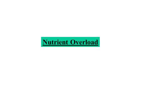 Nutrient Overload. DECOMPOSERS Nutrients Nitrogen Phosphorus Potassium Rabbit eats Plant and cycle Starts again Photosynthesis.