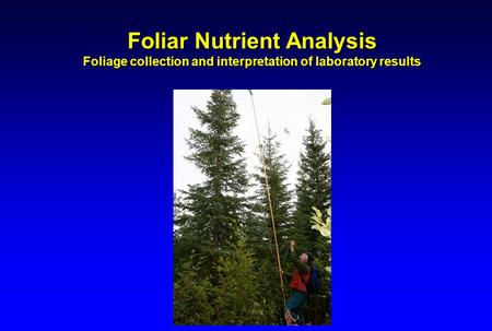 Foliar Nutrient Analysis Foliage collection and interpretation of laboratory results.