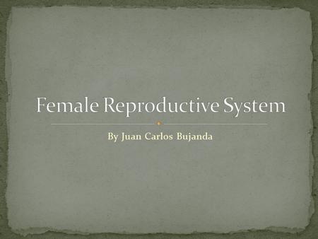 By Juan Carlos Bujanda. This is the third most common type of cancer in women. Not so much how ever, in the United States. It is cancer in the cervix.