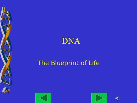 DNA The Blueprint of Life November 21, 2007DNA: Blueprint of Life2 Basics of DNA  DNA stands for deoxyribonucleic acid.  James Watson and Francis Crick.