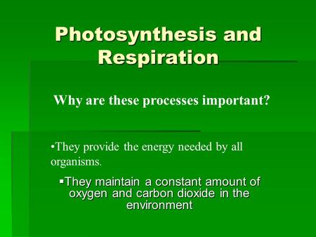 Photosynthesis and Respiration