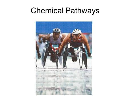 Chemical Pathways. Cellular Respiration Cellular respiration is the process that releases ___________ by breaking down glucose and other food molecules.