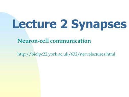 Lecture 2 Synapses Neuron-cell communication