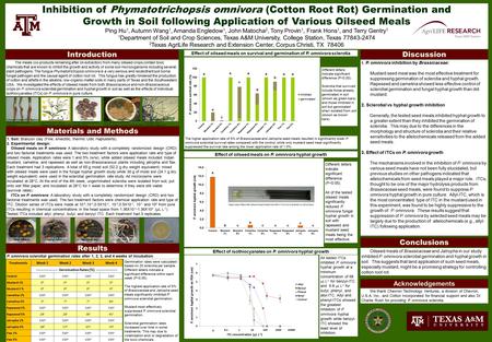 Inhibition of Phymatotrichopsis omnivora (Cotton Root Rot) Germination and Growth in Soil following Application of Various Oilseed Meals Ping Hu 1, Autumn.