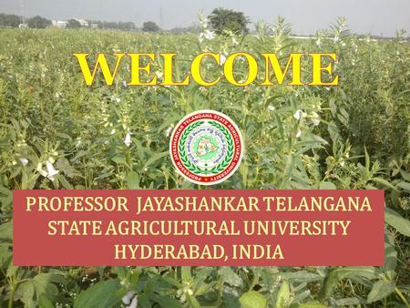 PROFESSOR JAYASHANKAR TELANGANA STATE AGRICULTURAL UNIVERSITY