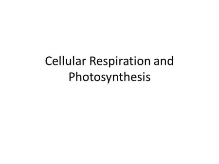 Cellular Respiration and Photosynthesis. 1. C 2. D.