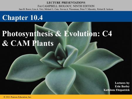 LECTURE PRESENTATIONS For CAMPBELL BIOLOGY, NINTH EDITION Jane B. Reece, Lisa A. Urry, Michael L. Cain, Steven A. Wasserman, Peter V. Minorsky, Robert.