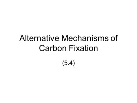 Alternative Mechanisms of Carbon Fixation (5.4). RuBisCO RuBisCO is the most abundant protein on Earth catalyzes the first reaction of the Calvin cycle.