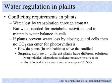 Conflicting requirements in plants Water regulation in plants How do organisms ‘solve’ common problems? –Water lost by transpiration through stomata –If.