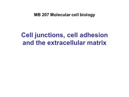 MB 207 Molecular cell biology Cell junctions, cell adhesion and the extracellular matrix.