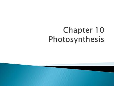  Plants and other autotrophs are producers of biosphere  Photoautotrophs: use light E to make organic molecules  Heterotrophs: consume organic molecules.