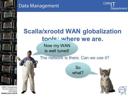 CERN IT Department CH-1211 Genève 23 Switzerland www.cern.ch/i t Scalla/xrootd WAN globalization tools: where we are. Now my WAN is well tuned! So what?