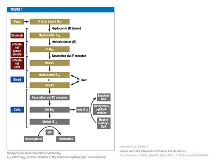 Herrmann, W; Obeid, R Causes and Early Diagnosis of Vitamin B12 Deficiency Dtsch Arztebl Int 2008; 105(40): 680-5, DOI: 10.3238/arztebl.2008.0680.