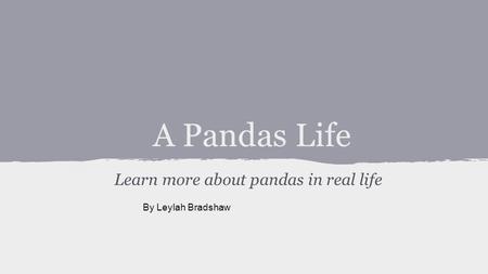 A Pandas Life Learn more about pandas in real life By Leylah Bradshaw.