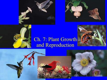 Ch. 7: Plant Growth and Reproduction